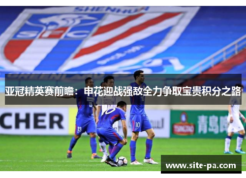 亚冠精英赛前瞻：申花迎战强敌全力争取宝贵积分之路