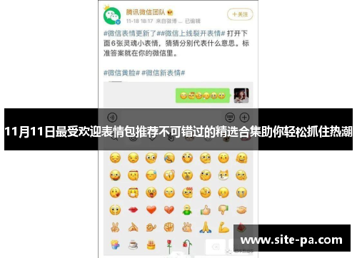 11月11日最受欢迎表情包推荐不可错过的精选合集助你轻松抓住热潮