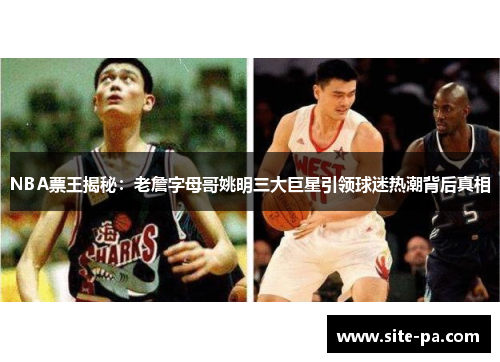NBA票王揭秘：老詹字母哥姚明三大巨星引领球迷热潮背后真相