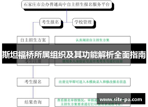 斯坦福桥所属组织及其功能解析全面指南