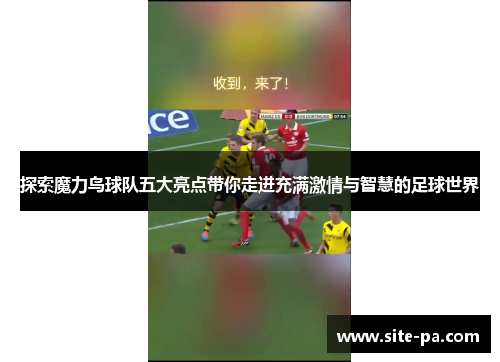 探索魔力鸟球队五大亮点带你走进充满激情与智慧的足球世界