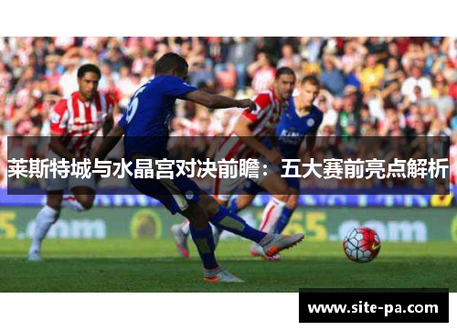莱斯特城与水晶宫对决前瞻：五大赛前亮点解析