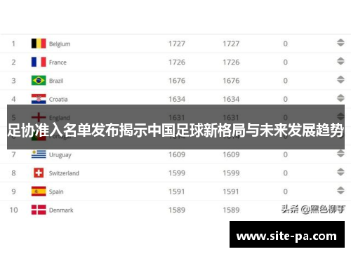 足协准入名单发布揭示中国足球新格局与未来发展趋势