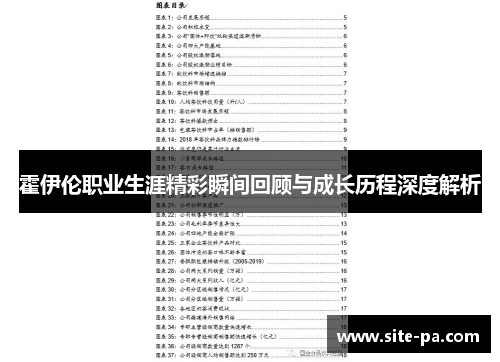 霍伊伦职业生涯精彩瞬间回顾与成长历程深度解析