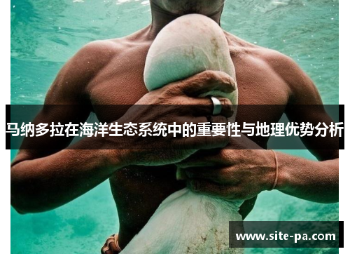 马纳多拉在海洋生态系统中的重要性与地理优势分析 马纳多拉在海洋生态系统中的重要性与地理优势分析
