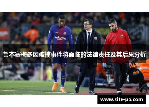 鲁本塞梅多因被捕事件将面临的法律责任及其后果分析