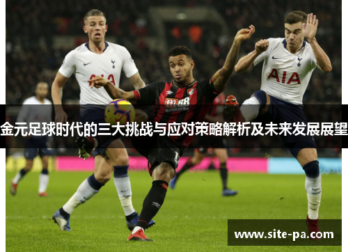 金元足球时代的三大挑战与应对策略解析及未来发展展望