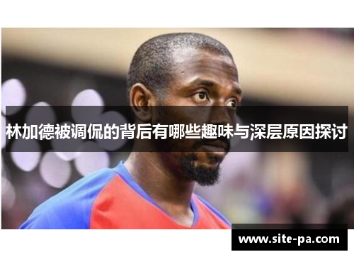 林加德被调侃的背后有哪些趣味与深层原因探讨