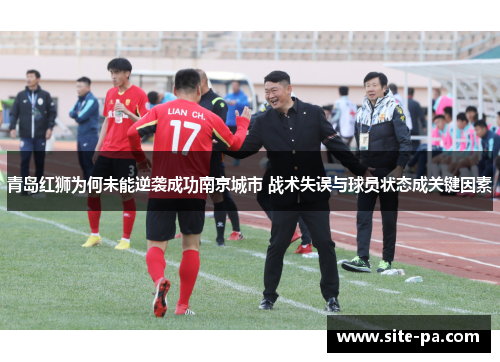 青岛红狮为何未能逆袭成功南京城市 战术失误与球员状态成关键因素