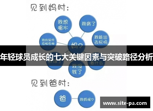 年轻球员成长的七大关键因素与突破路径分析