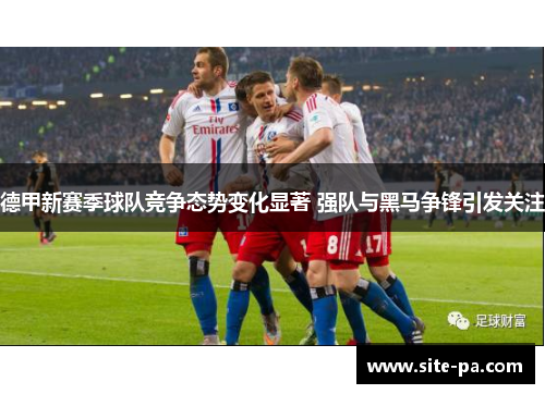 德甲新赛季球队竞争态势变化显著 强队与黑马争锋引发关注