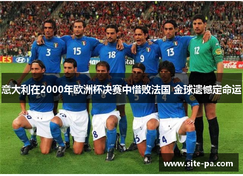 意大利在2000年欧洲杯决赛中惜败法国 金球遗憾定命运