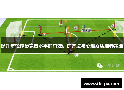 提升年轻球员竞技水平的有效训练方法与心理素质培养策略