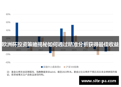 欧洲杯投资策略揭秘如何通过精准分析获得最佳收益