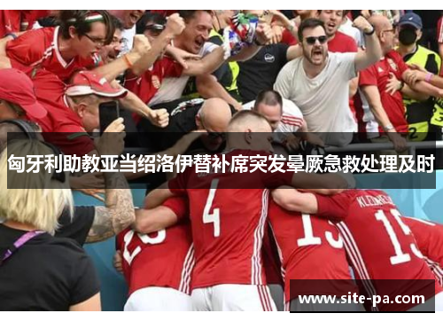 匈牙利助教亚当绍洛伊替补席突发晕厥急救处理及时